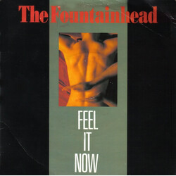 The Fountainhead Feel It Now Vinyl 7" USED