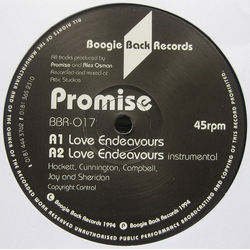 Promise (33) Love Endeavours / What You Do To Me Vinyl 12" USED