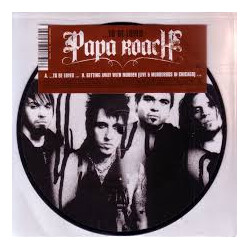 Papa Roach ...To Be Loved USED VINYL 7INCH PICTURE DISC