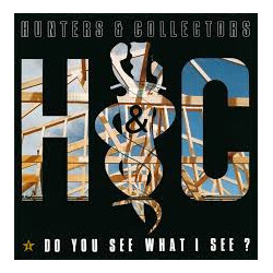 Hunters & Collectors Do You See What I See? VINYL 7" USED