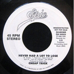 Cheap Trick Never Had A Lot To Lose USED VINYL 7INCH 45 RPM PROMO