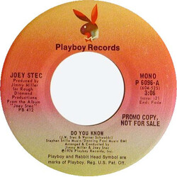 Joey Stec Do You Know USED VINYL 7INCH PROMO STEREO MONO