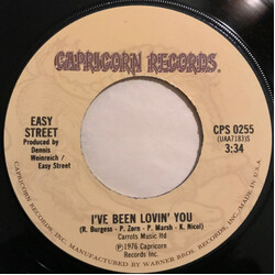 Easy Street (2) I've Been Lovin' You / Gonna Wait For Summer USED VINYL 7INCH 45 RPM SINGLE