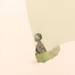 Mock Orange Put The Kid On The Sleepy Horse Vinyl LP USED