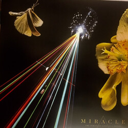 Miracle (11) The Strife Of Love In A Dream Vinyl LP USED