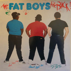 Fat Boys The Fat Boys Are Back Vinyl LP USED