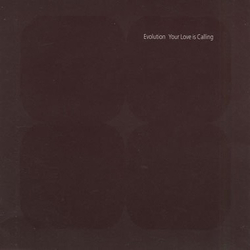 Evolution Your Love Is Calling Vinyl 12" USED