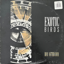 Exotic Birds Day After Day Vinyl 12" USED
