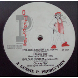 Chukki Star Evilous System USED VINYL 12INCH