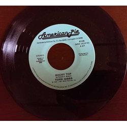 Dan Hartman / Terri Gibbs I Can Dream About You / Rocky Top Vinyl 7" USED