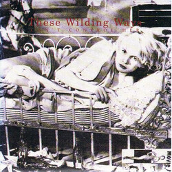 These Wilding Ways Can't Control Her USED VINYL 7INCH