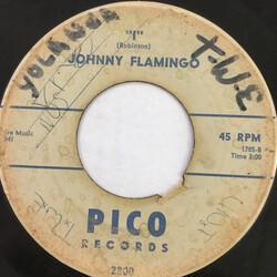 Johnny Flamingo Summertime / I USED VINYL 7INCH 45 RPM