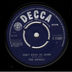 The Animals Don't Bring Me Down Vinyl 7" USED