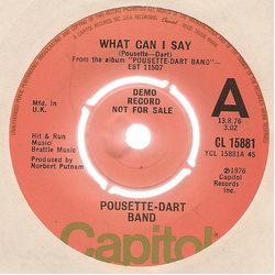 Pousette-Dart Band What Can I Say Vinyl 7" USED