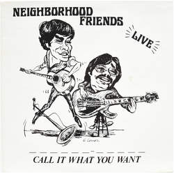 Neighborhood Friends Call It What You Want Vinyl LP USED
