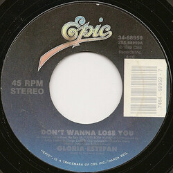 Gloria Estefan Don't Wanna Lose You VINYL 7" USED