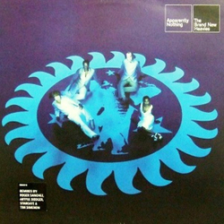 The Brand New Heavies Apparently Nothing Vinyl 12" USED