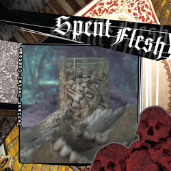 Spent Flesh Deviant Burial Customs USED VINYL 7INCH 33 S RPM LIMITED EDITION