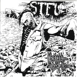 STFU Miserable Existence USED VINYL 7INCH 33 S RPM REPRESS