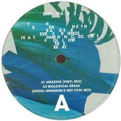 The Kenneth Bager Experience Follow The Beat Sampler 2 USED VINYL 12INCH SAMPLER SPECIAL EDITION