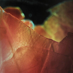 Marcus L (2) Kimchi Slap USED VINYL 12INCH EP