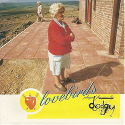 Dodgy Lovebirds Vinyl 7" USED