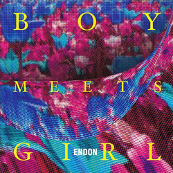 Endon Boy Meets Girl Vinyl LP USED