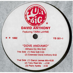David Anthony / Tara Layne Dove Andiamo (Where Do We Go!) USED VINYL 12INCH 33 S RPM