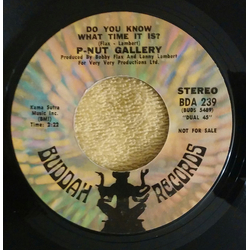 P-Nut Gallery Do You Know What Time It Is? Vinyl 7" USED