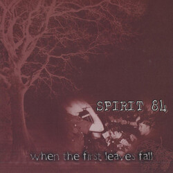 Spirit 84 When The First Leaves Fall USED VINYL 7INCH