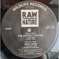 Raw Nature The Deepest Feeling Vinyl 12" USED
