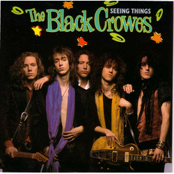 The Black Crowes Seeing Things Vinyl 7" USED