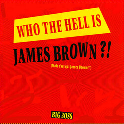 Big Boss Who The Hell Is James Brown?! VINYL 12" USED