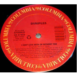 Richard 'Dimples' Fields I Can't Live With Or Without You USED VINYL 12INCH SINGLE PROMO 33 S RPM