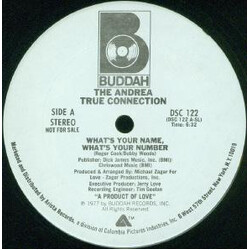 Andrea True Connection What's Your Name, What's Your Number USED VINYL 12INCH 33 S RPM SINGLE PROMO