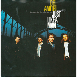 Del Amitri Just Like A Man Vinyl 7" USED