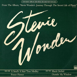 Stevie Wonder A Seed's A Star / Tree Medley USED VINYL 12INCH 33 S RPM PROMO SAMPLER