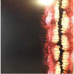 Kleft H+ Sexualis USED VINYL 12INCH