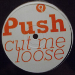 Push (2) Ice / Cut Me Loose USED VINYL 12INCH 45 RPM