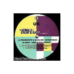 Drumsound & Simon "Bassline" Smith / Nero (5) Datastream / Lost In The Jungle Vinyl 12" USED