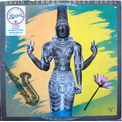 David Liebman Sweet Hands Vinyl LP USED