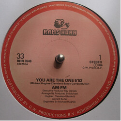 AM-FM You Are The One USED VINYL 12INCH 33 S RPM