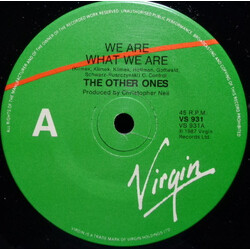 The Other Ones We Are What We Are USED VINYL 7INCH 45 RPM SINGLE STEREO