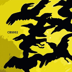 The Sushi Club / Christian Burkhardt / Markus Fix CB Session 2 USED VINYL 12INCH