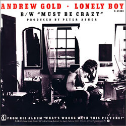 Andrew Gold Lonely Boy USED VINYL 7INCH 45 RPM SINGLE