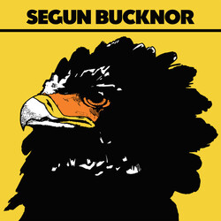 Segun Bucknor Segun Bucknor Vinyl LP USED