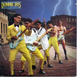 Donnie Iris Back On The Streets Vinyl LP USED