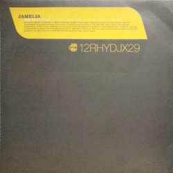 Jamelia Boy Next Door (Remixes) Vinyl 12" USED
