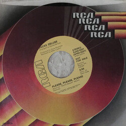 Ducks Deluxe Please, Please, Please USED VINYL 7INCH 45 RPM PROMO STEREO MONO