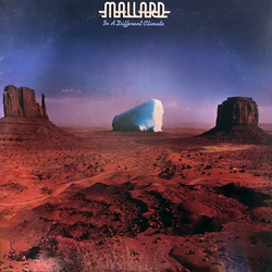 Mallard In A Different Climate Vinyl LP USED